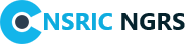 NSRIC Global Recruitment Solutions